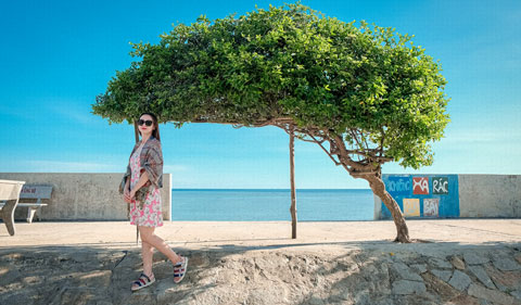 Tour Phú Quý 2n1đ trọn gói, Du lịch Phú Quý 2n1đ